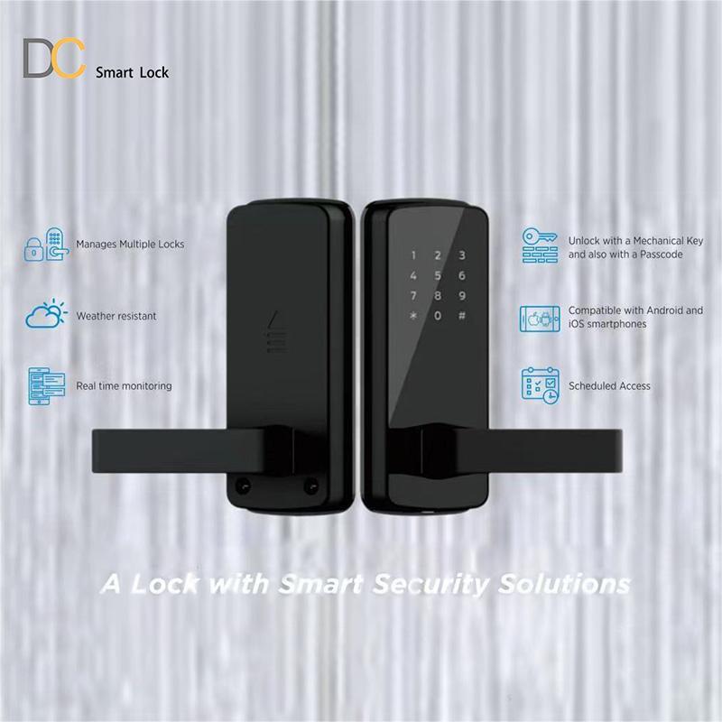 Lever Smart Lock